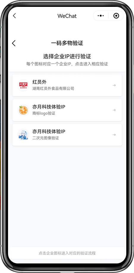 步骤二：选择企业IP